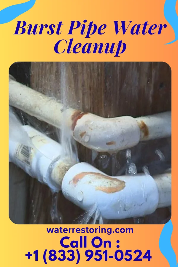 Burst Pipe Water Cleanup in Rossville, TN
