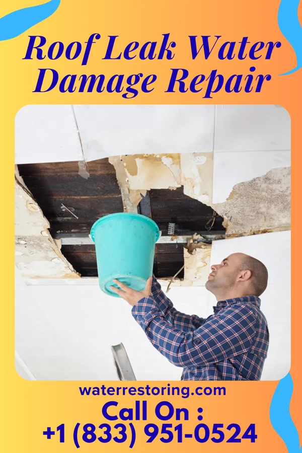 Roof Leak Water Damage Repair in Rossville, TN