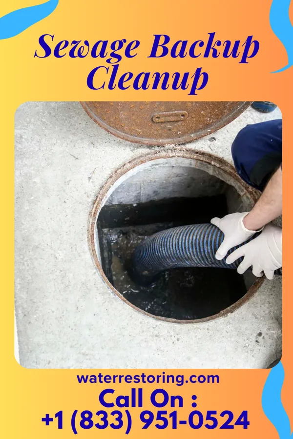 Sewage Backup Cleanup in Rossville, TN