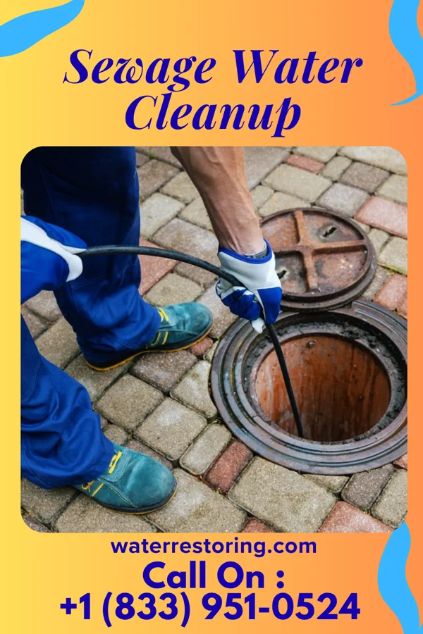 Sewage Water Cleanup in Rossville, TN